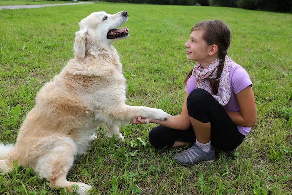 Girl holding dog's hand by Shutterstock.
