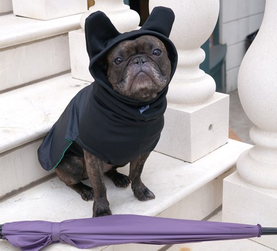 snorf raincoat