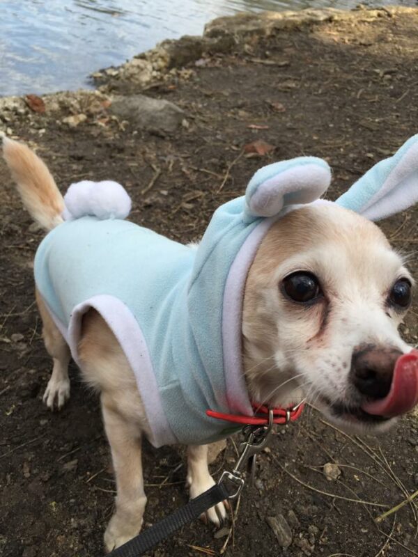 festive easter outfit (photo credit by Sassafras Lowrey)
