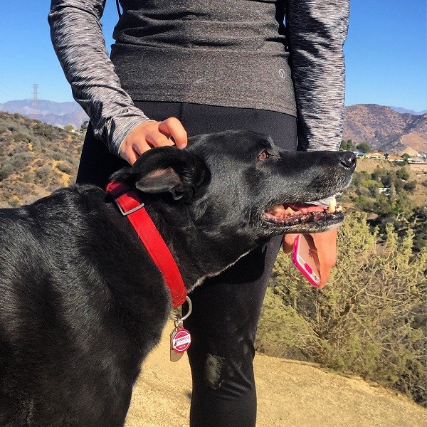 Riggins gets love from a friend he made on the trails (Photo by Wendy Newell)