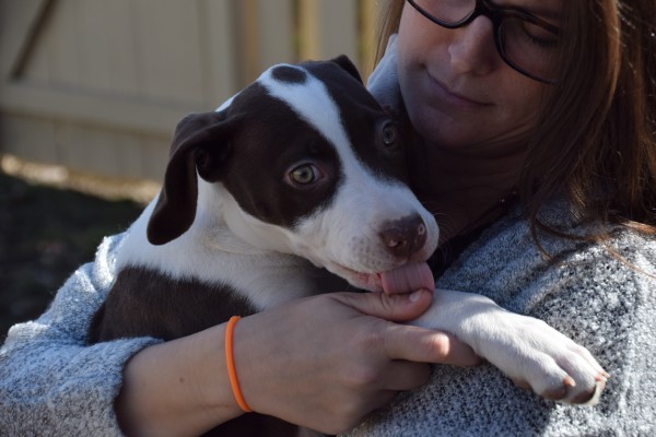Katie Beth Maddox snuggles foster pup Princess Di at her home in Indianapolis.