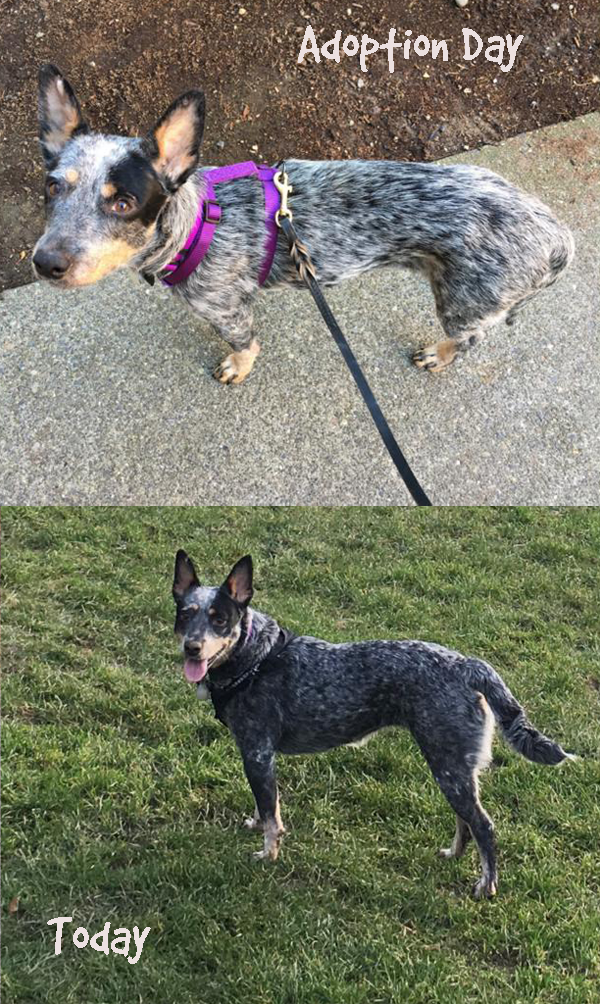 Data Before and After