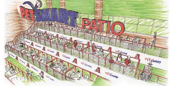 dogpark2