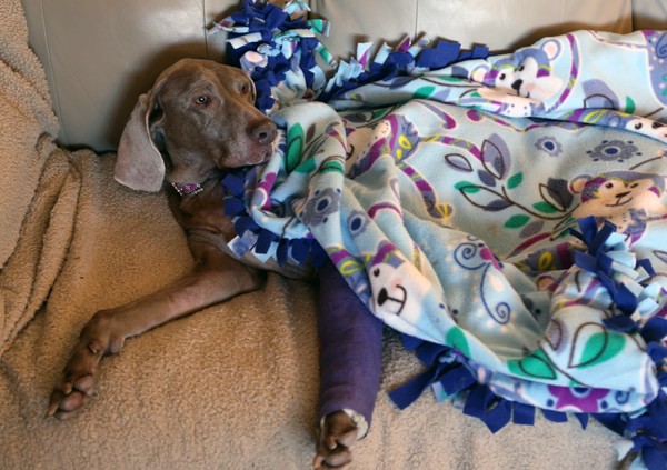 Jasmine under a prayer blanket sent to her while recuperating in the Schneider home.