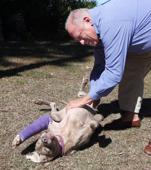 Mike Schneider plays with Jasmine in the backyard of their Destin home after she was released from the hospital.