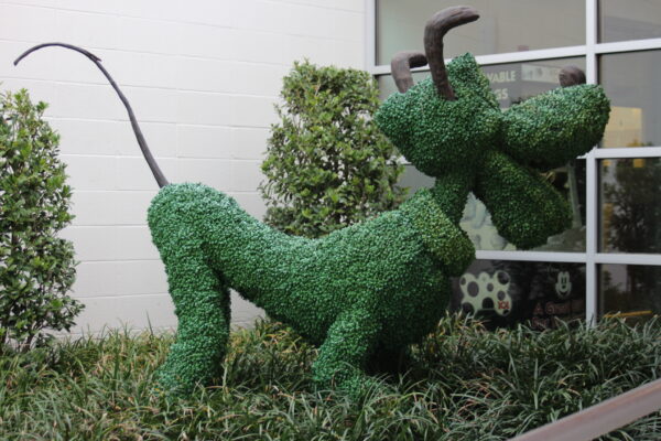 pluto topiary