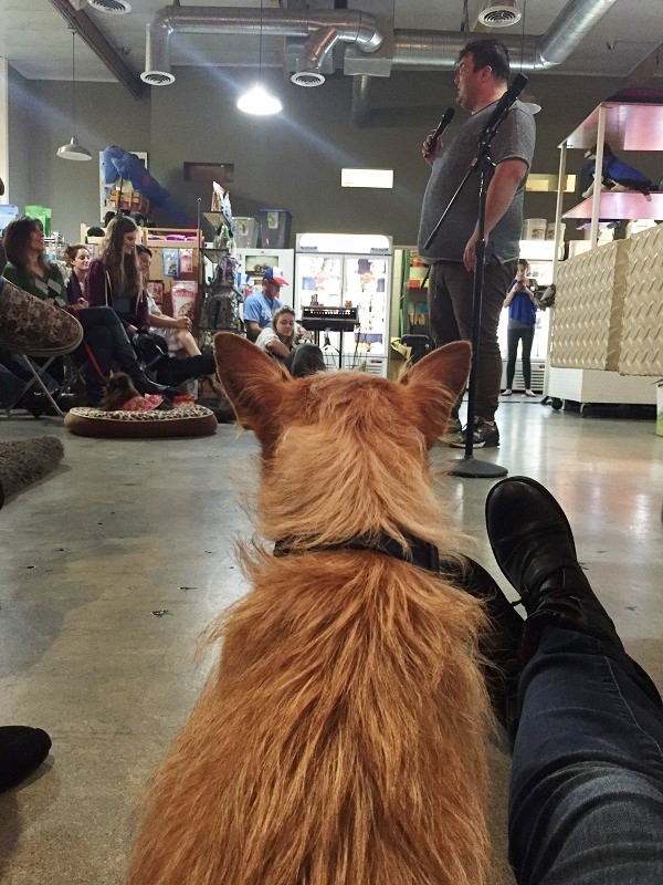 I sit on the floor and snuggle close to a pup during Ian Karmel's set. (Photo by Wendy Newell)