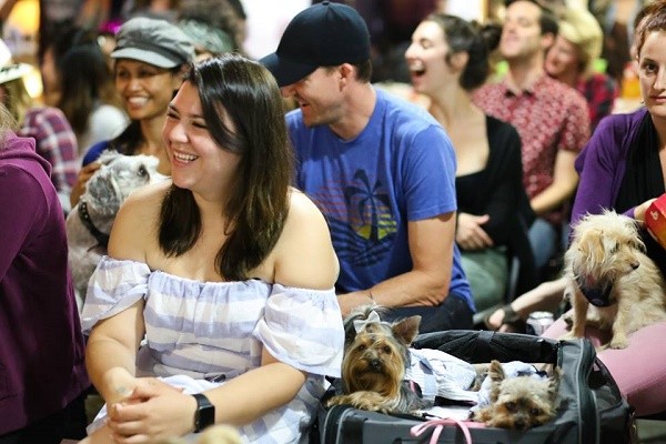 Humans and dogs laugh together at the 2 Girls 1 Pup live show (photo by Rebecca Aranda Photography)