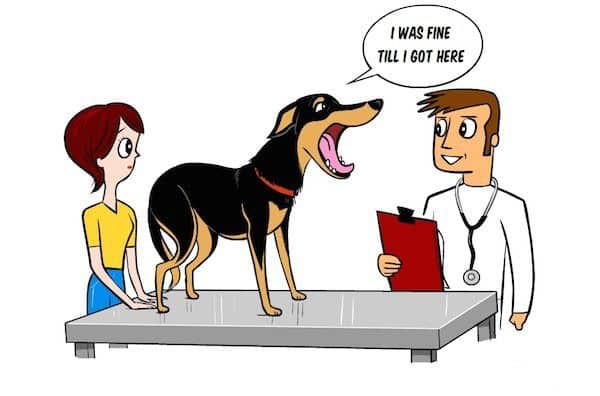 A visit to the vet can be stressful. Image by Dog Decoder smartphone app/Illustration by Lili Chin.