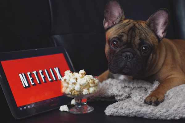 Hugo Netflix