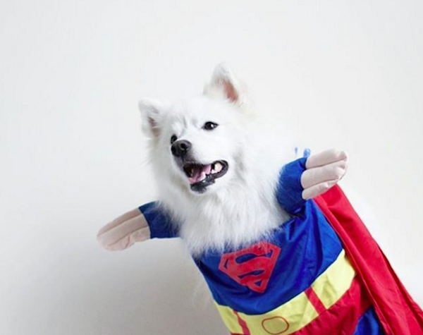 MomoSuperhero