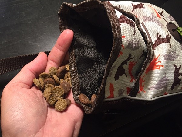 Don't tell Riggins the training pouch is just full of kibble. (PHoto by Wendy Newell)