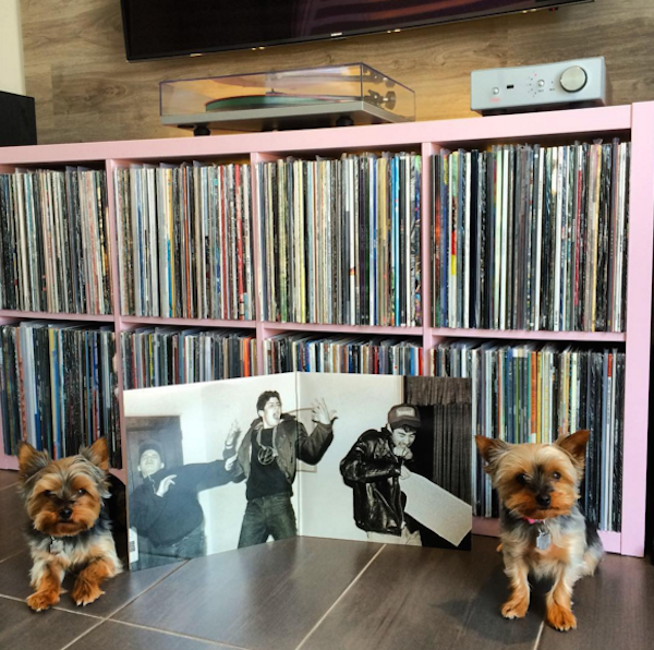 VinylYorkies