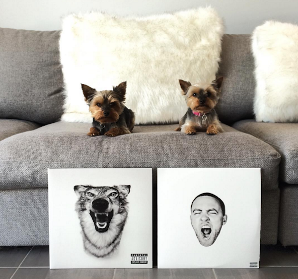 VinylYorkies5