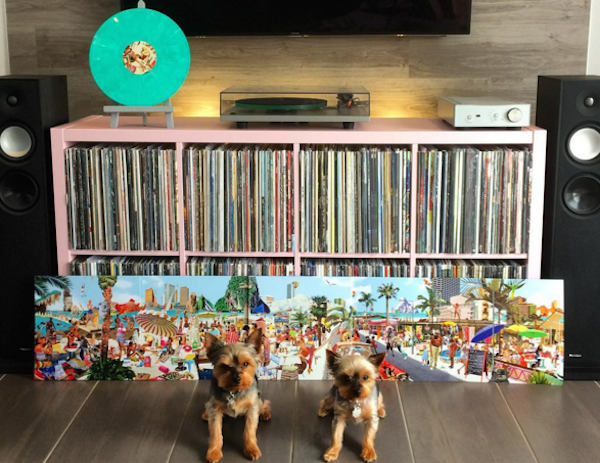 VinylYorkies7