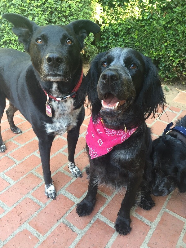 Riggins and his girlfriend, Sissy, on their last day together. (Photo by Wendy Newell)
