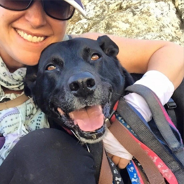 Dog sitting days. Riggins and me and the extra weight of 8 leashes wrapped around my arm! (Photo by Wendy Newell)