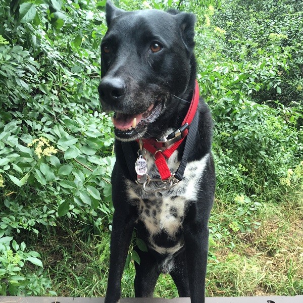Leash free and happy! (Photo by Wendy Newell)