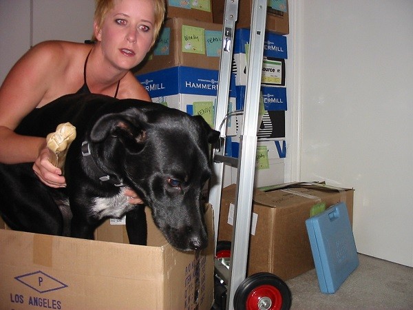 New_Home_For_Dog_1