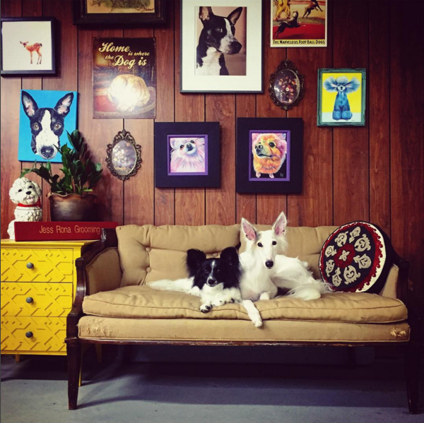 Jess Rona's grooming salon. (Photo courtesy JessRonaGrooming Instagram.