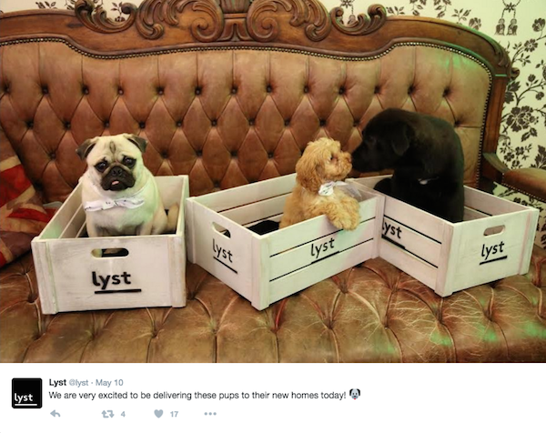 So not funny. (Photo via <a href="https://twitter.com/lyst">Lyst on Twitter</a>)