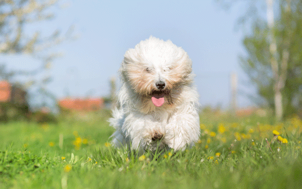 shutterstock_270023564