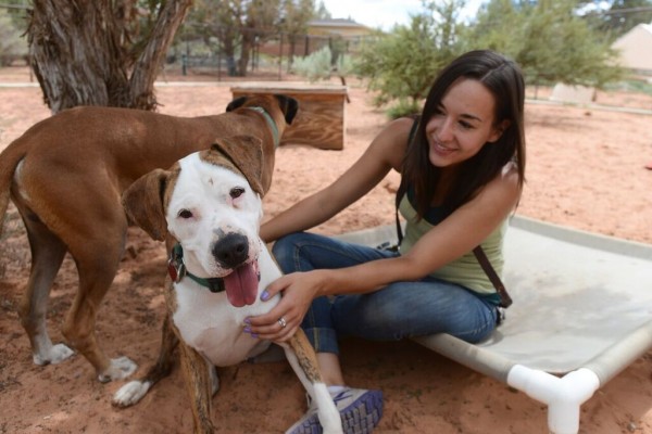 Photo Credit: Best Friends Animal Society