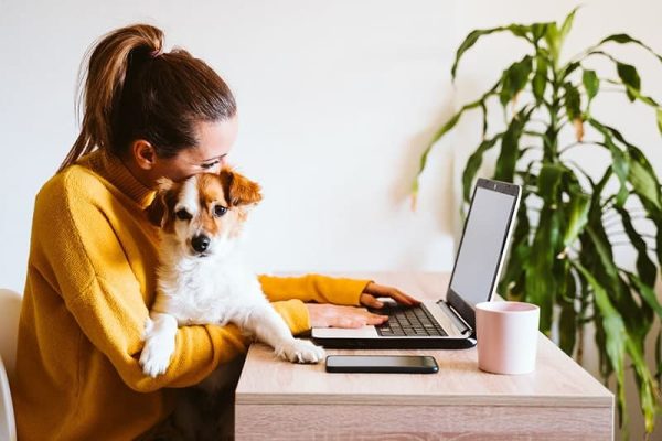 young woman working on laptop at home, cute small dog