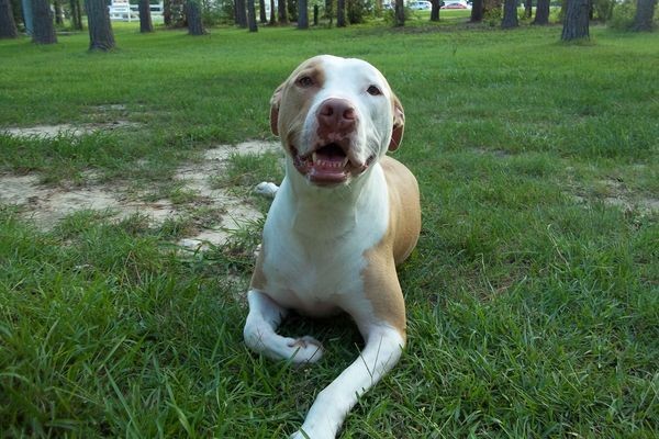 The face of no worries. Just soaking up sunshine! Photo by Meghan Lodge