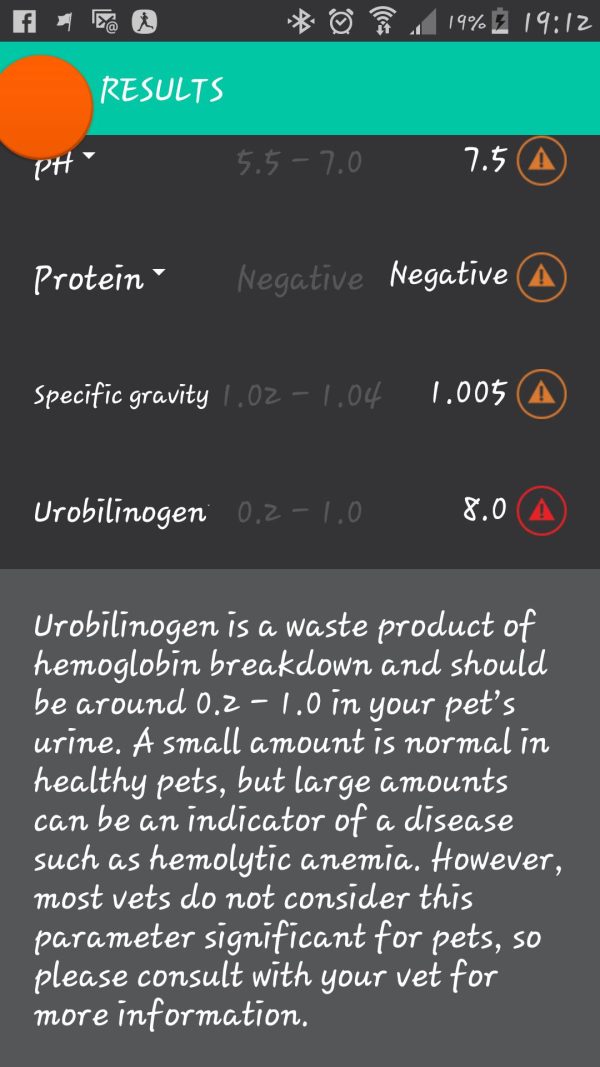 We Review the Petnostics Home Urine Test Kit Dogster