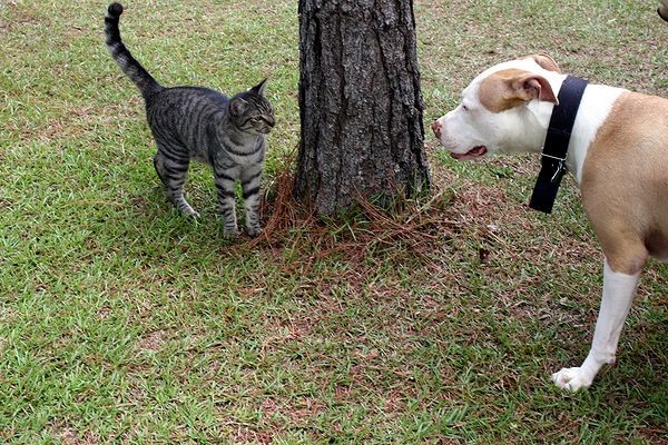 Axle believes in spending time with his friends. Photo by Meghan Lodge