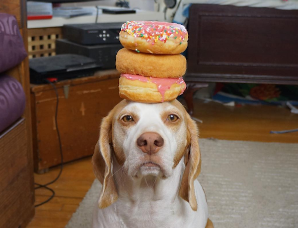 MaymoSnacks2
