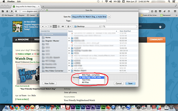 Save as a Web Page Archive: Step 2