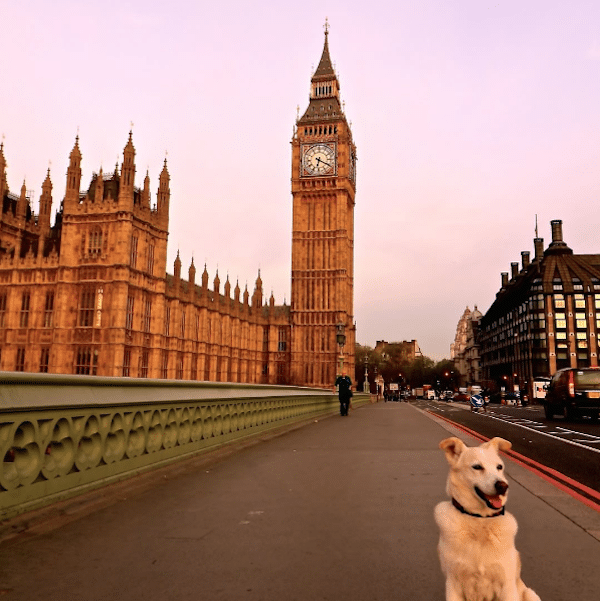 Ralph at Big Ben, London, England.