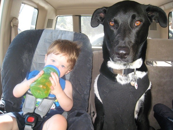 My sister's baby and my baby share the backseat ready for a road trip. (Photo by Wendy Newell)