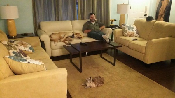 The boys were quite pleased with themselves for uglying up my livingroom. 
