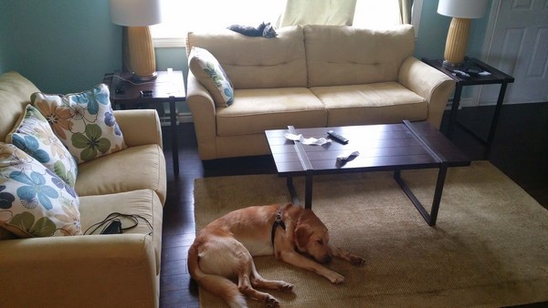 My husband was tired of seeing GhostBuster sulking during TV time.