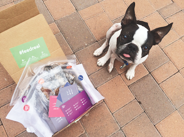 Spot Thought Bubble: Are we going to eat these treats or what?