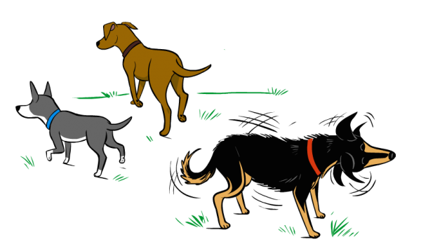 Dogs shake off to release stress. (Illustration by Lili Chin)