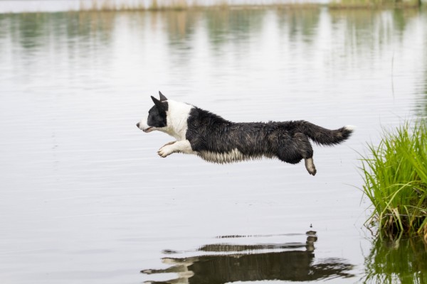 shutterstock_423882793