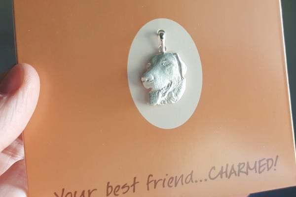 The charm can be worn with a chain or a bracelet. (All photos by Heather Marcoux)