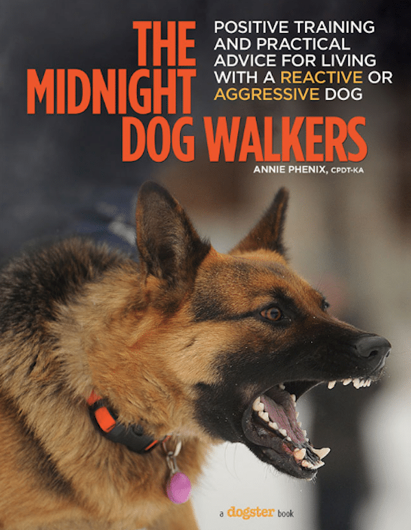 midnight dog walkers