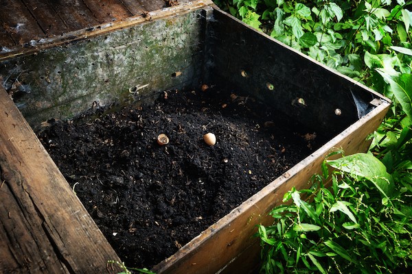 Compost by Shutterstock.