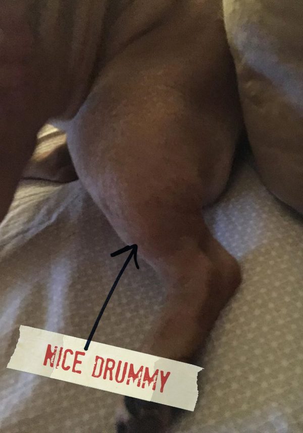 FF_Dogster_AskFrankQuestionPhotos_DeliciousDrummys