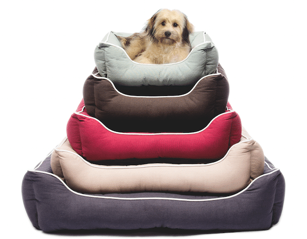 Lounger Bed from Dog Gone Smart