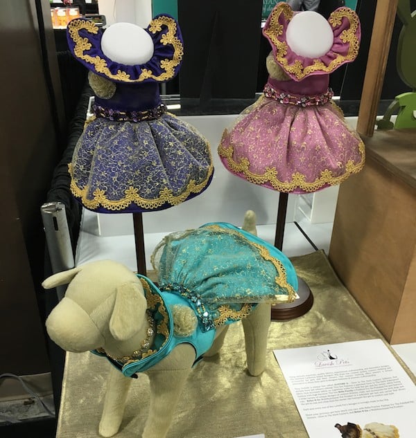 Fancy! (Photo by Melissa L. Kauffman)