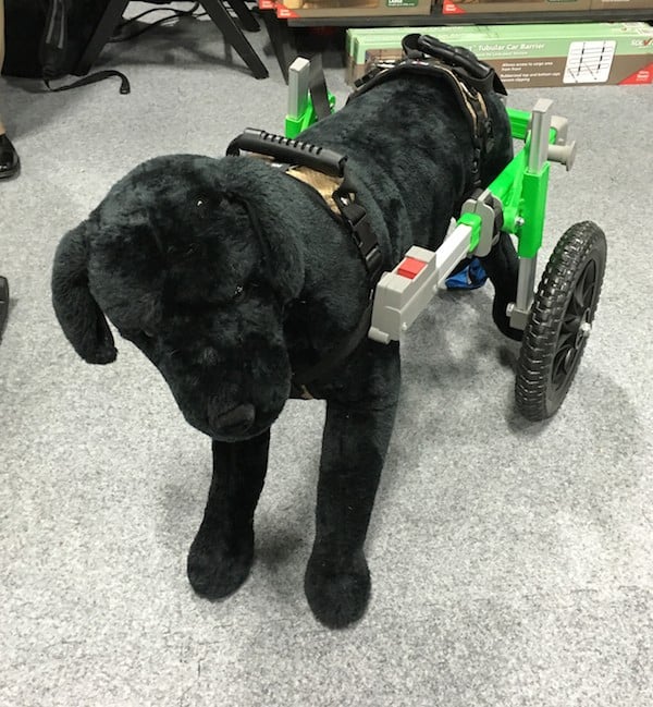 Doggie wheelchair. (Photo by Melissa L. Kauffman)