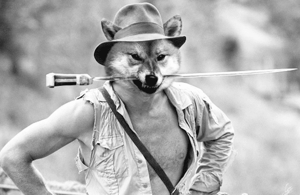 ZeldaIndianaJones