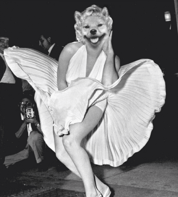 ZeldaMarilynMonroe