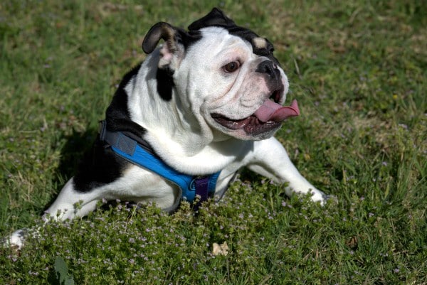 (All photos courtesy Elizabeth Hart, Friends of Emma)